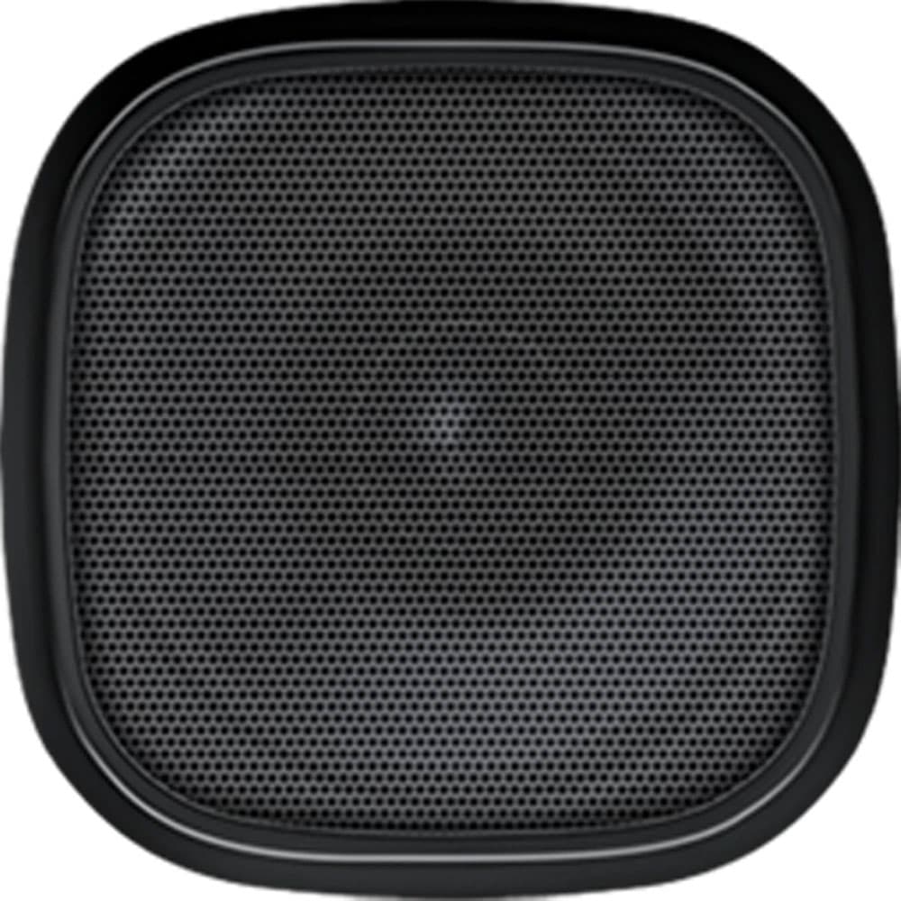 Speaker